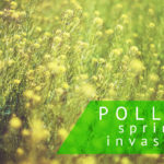 eliminate pollen from your home
