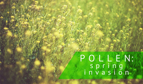 eliminate pollen from your home